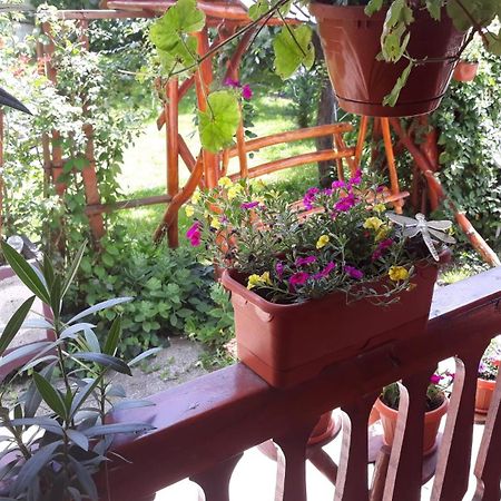 Casa Dana Hotel ฮาเซก ภายนอก รูปภาพ