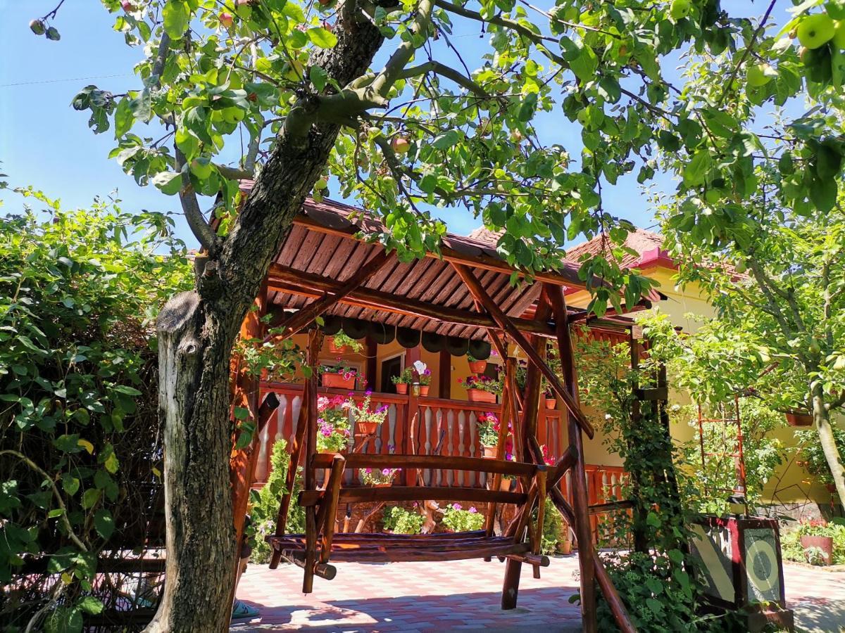 Casa Dana Hotel ฮาเซก ภายนอก รูปภาพ